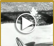 Video - A Case of Spring Fever Movie 1940 Classic Shown by Perfection Spring & Stamping